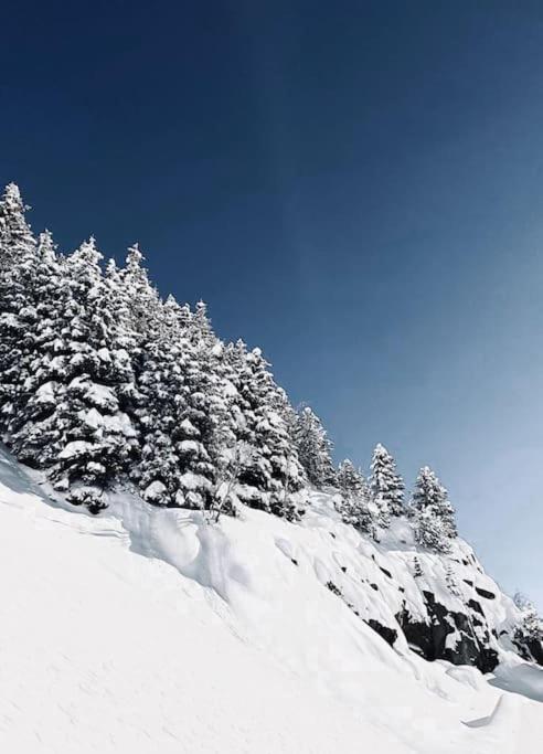 Guetsch * Andermatt